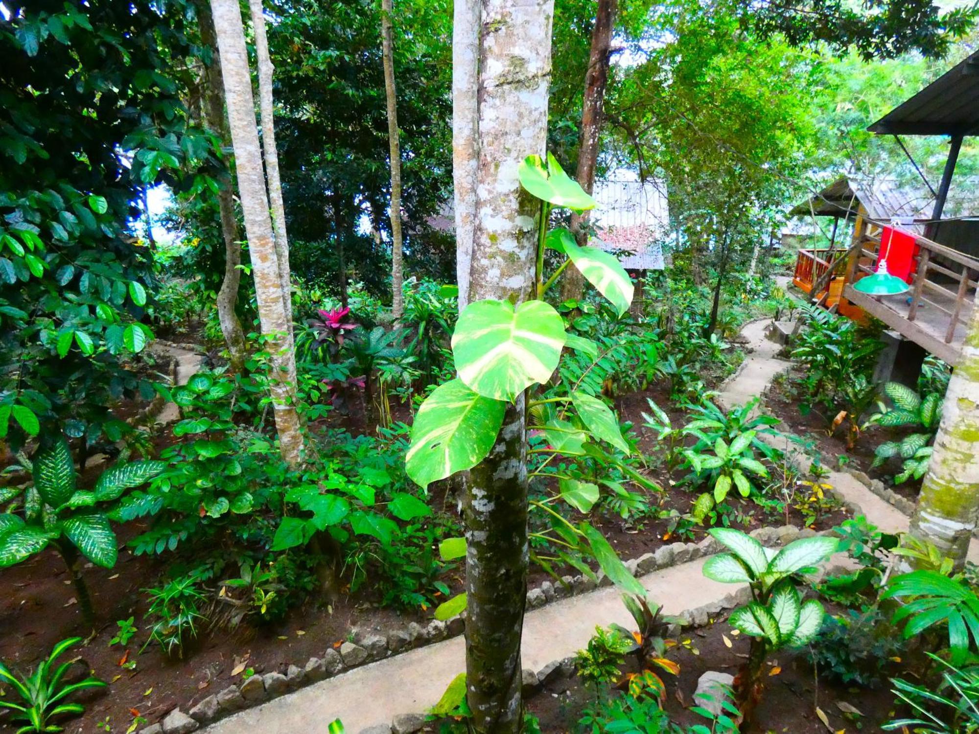 Santi Garden Bungalows Iboih Ngoại thất bức ảnh