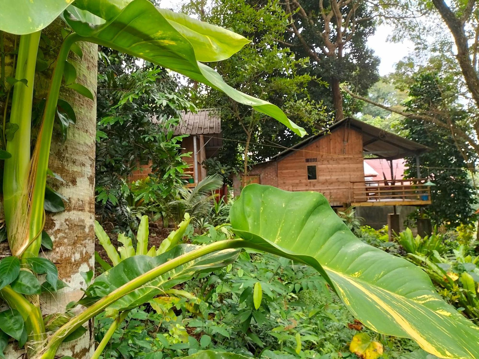 Santi Garden Bungalows Iboih Ngoại thất bức ảnh