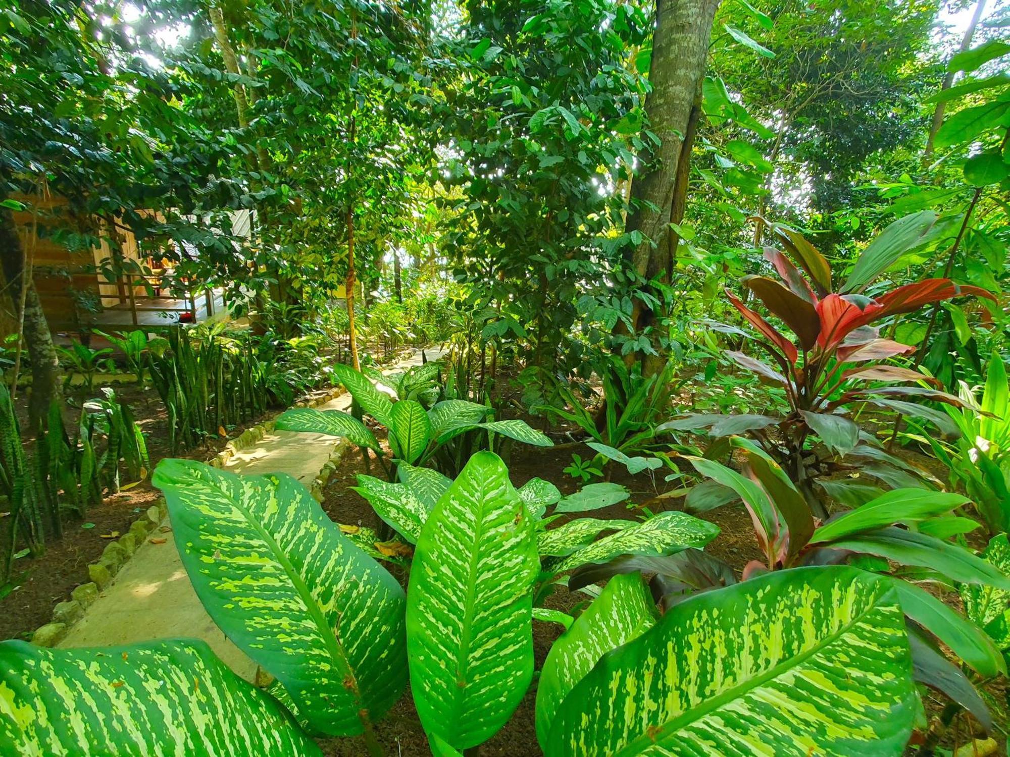 Santi Garden Bungalows Iboih Ngoại thất bức ảnh